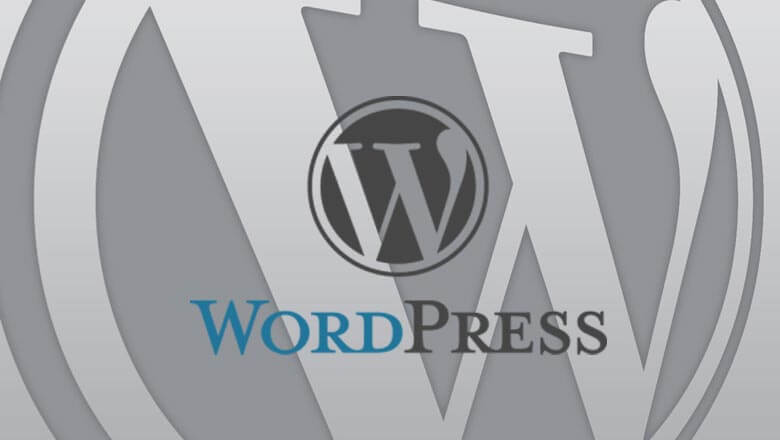 Should you use WordPress or build a custom website?